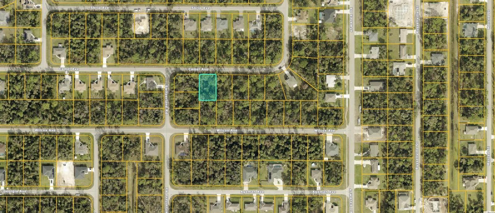NO FLOOD ZONE, NO HOAs, NO CDDs, NO DEED RESTRICTIONS. Excellent location minutes to I-75 conveniently located to Florida's best beaches, golfing, shopping and water park, schools, restaurants and great health care. Close by is the Myakka River and preserves. There is something here for everyone! Get your slice of paradise in southwest Florida!