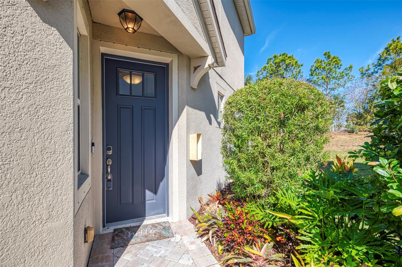 12369 TRAILHEAD DRIVE