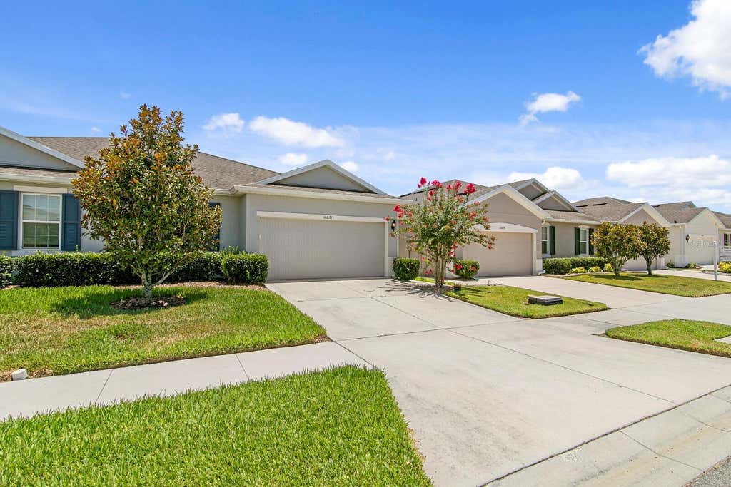 Photo of 10631 Heron Hideaway Loop, Land O Lakes, FL 34638 (MLS # TB8522335)