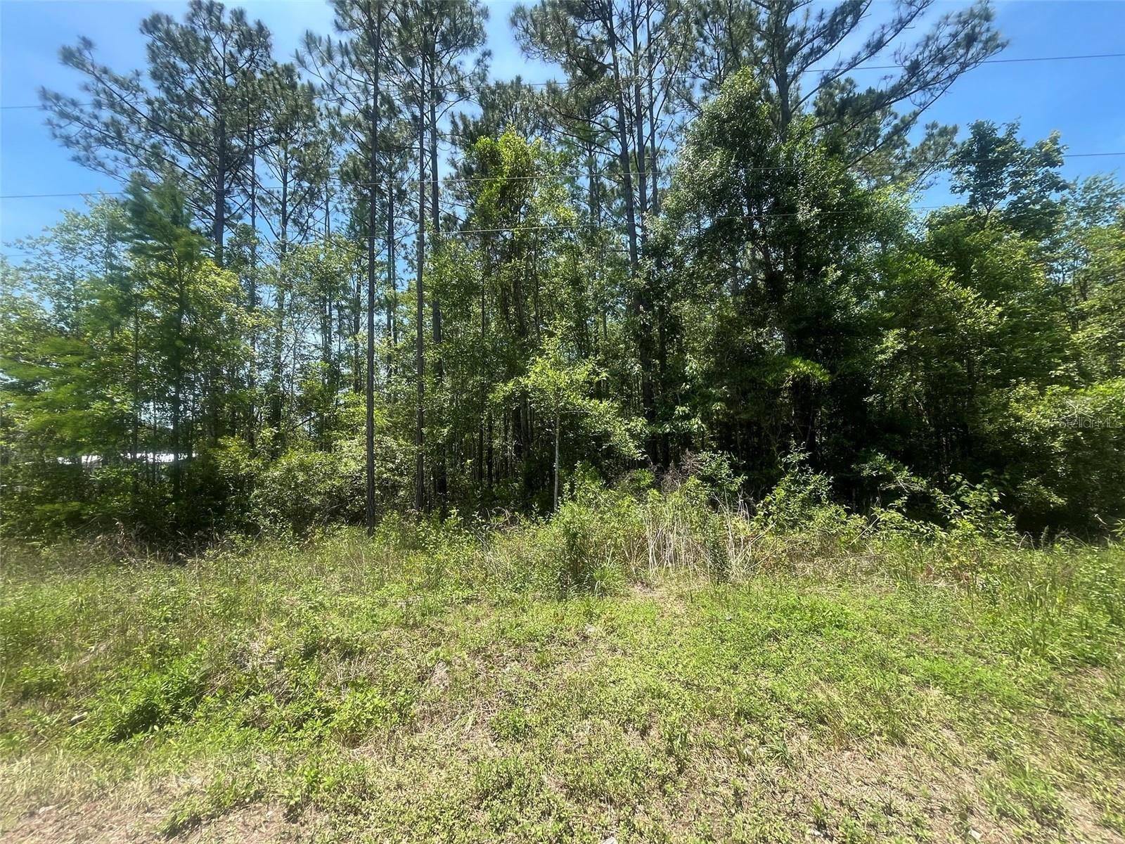 FINANCING AVAILABLE! Experience country living in Flagler Estates. Escape to tranquility and a peaceful lifestyle with over one acre of fully wooded land ready for your new home. Power poles on the street provide easy access to electricity. With no HOA, you're free to bring your horses, boat, or RV. It's conveniently located near Palatka, Palm Coast, St. Augustine, the St. Johns River, camping, fishing, and just about 20 minutes from Crescent Beach. This lot is priced below market value, making land purchase in Florida a sound investment for your future. Whether you're looking to build your dream home, a vacation getaway, a rental property, or simply hold onto the land as a valuable long-term investment to resell at a profit later, this is an opportunity not to be missed. Seller states there is some wetlands on the property.