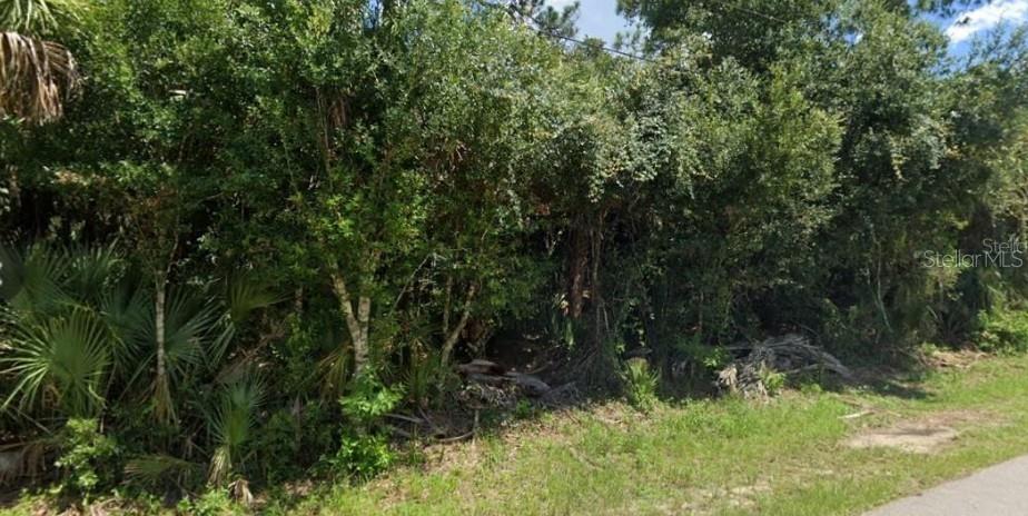 Nice buildable lot! No HOA! No flood zone! Close to public beaches, shopping centers and Warm Mineral Spring resort! Come and build your dream home!