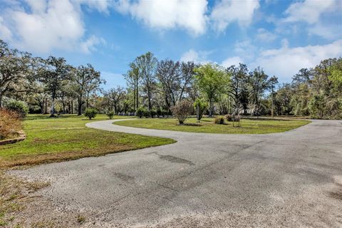 Tiny photo for 4670 Cr 625, Bushnell, FL 33513 (MLS # G5109215)