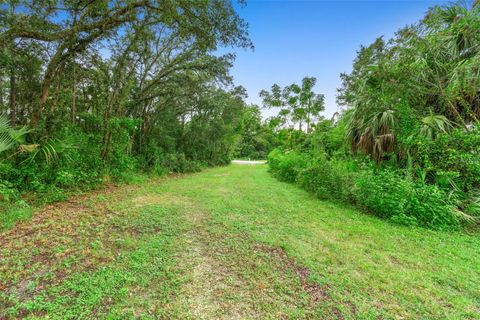 Tiny photo for 6011 W Homosassa Trail, Homosassa, FL 34448 (MLS # O6343008)
