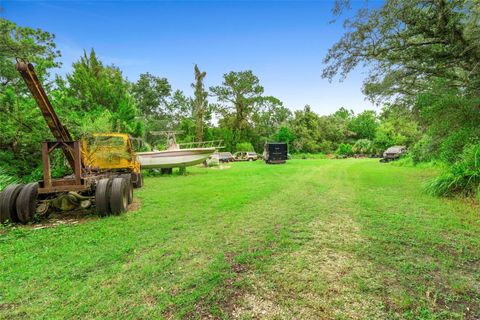 Tiny photo for 6011 W Homosassa Trail, Homosassa, FL 34448 (MLS # O6343008)