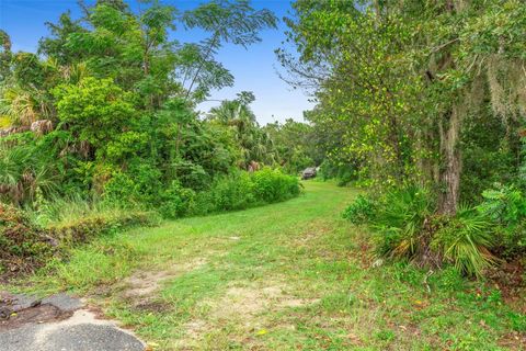 Tiny photo for 6011 W Homosassa Trail, Homosassa, FL 34448 (MLS # O6343008)