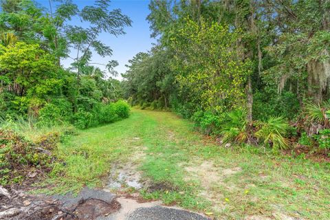 Tiny photo for 6011 W Homosassa Trail, Homosassa, FL 34448 (MLS # O6343008)