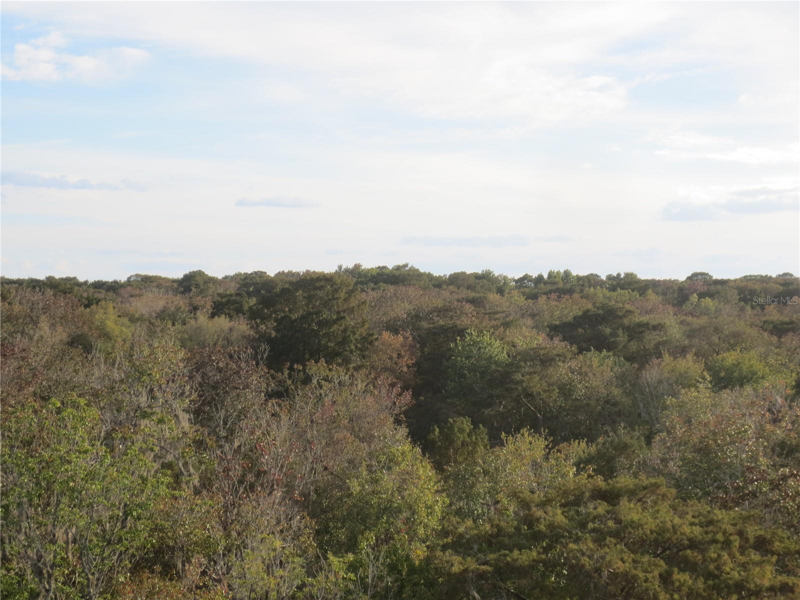 LAKE BRYANT SHORES - Land