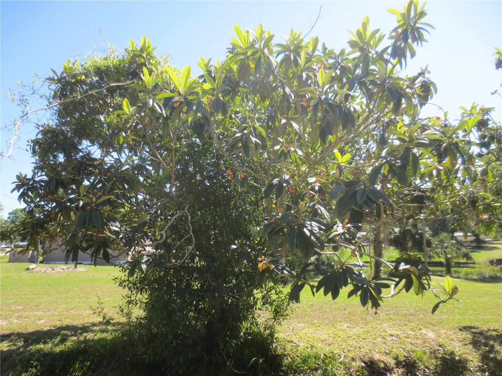 LAKE BRYANT SHORES - Land