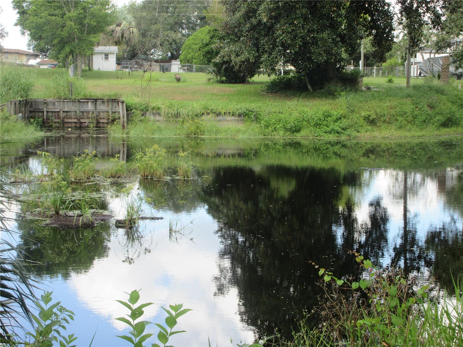 LAKE BRYANT SHORES - Land