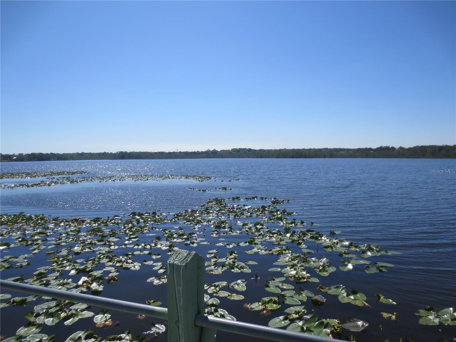 LAKE BRYANT SHORES - Land