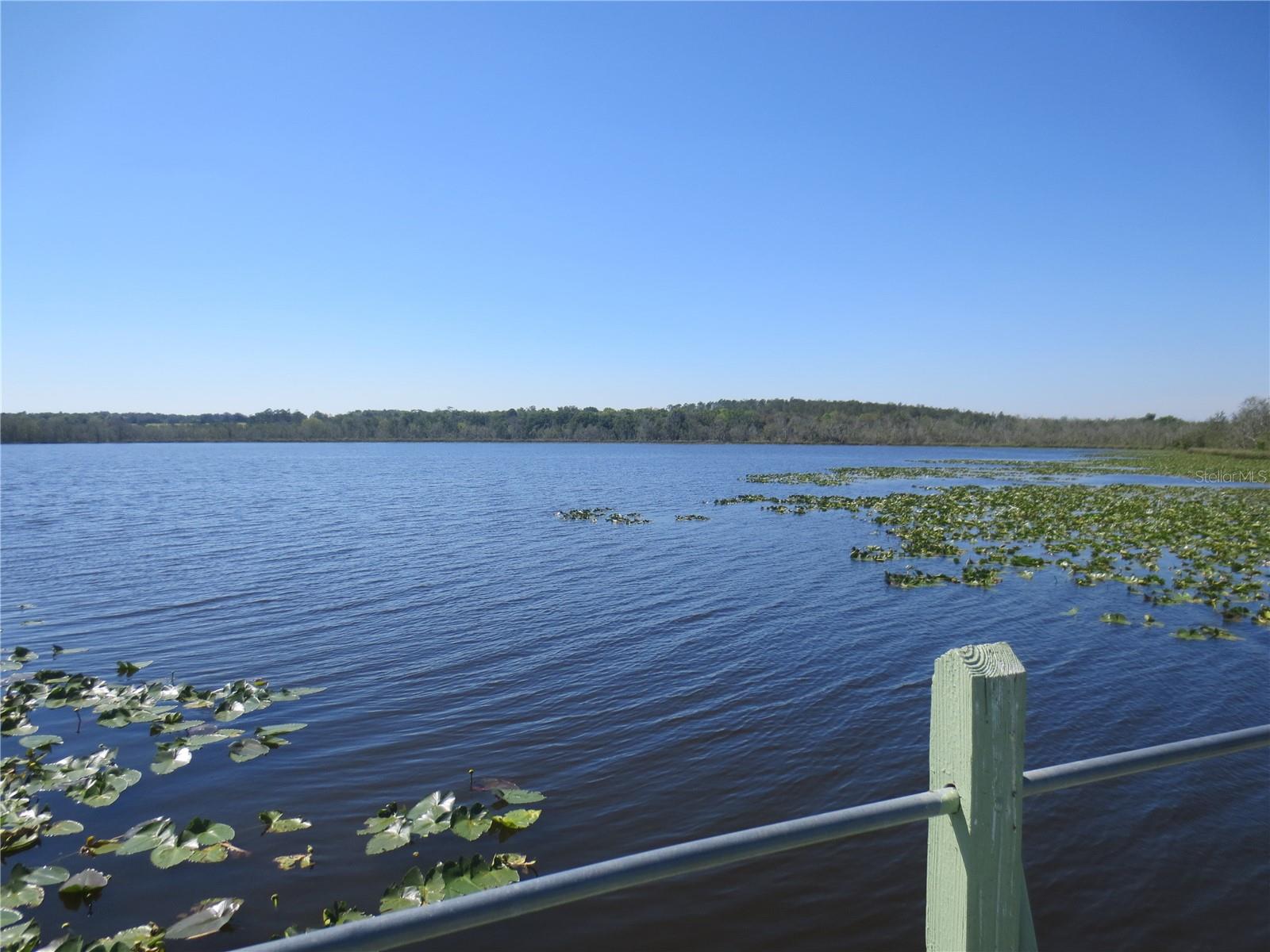 LAKE BRYANT SHORES - Land