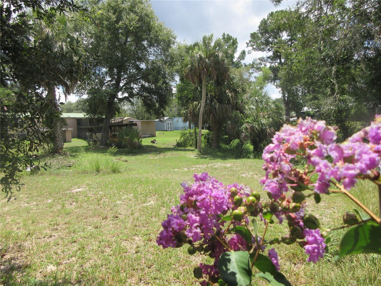 LAKE BRYANT SHORES - Land
