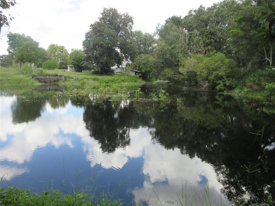 Affordable Owner Financed Canal Front lot zoned for either a mobile home, stick built or block home! NO MANDATORY HOA! This is an absolutely beautiful cleared paved road WATERFRONT LOT. It fronts on a 1,200 foot long canal which connects to gorgeous 750 Acre Lake Bryant with some of the BEST BIG BASS FISHING, SAILING, KAYAKING and SWIMMING around! The lot is grassed and has two fruit bearing Japanese plum trees, 5 Palm trees and 3 Oak trees. A survey is included and available upon request. Also available is an optional community concrete boat ramp, fishing dock and pavilion that can be used for a small fee, but is totally optional (not mandatory). A great deal at just $39,900.00 CASH or the SELLERS WILL ACCEPT $19,950.00 DOWN AND FINANCE THE BALANCE AT 6% INTEREST FOR 5 YEARS AT $385.71 PER MONTH. An excellent site for a dream homestead, winter retreat, rental unit or investment property. HURRY! This lot is located in the Ocala National Forest which affords you almost a ½ million acres of Forest to roam, 600 lakes, 2 rivers, Juniper Springs, Silver Glen Springs, Salt Springs, Swimming, Skiing, Big BASS Fishing, Boating, Camping, Hiking, Horse back riding and some of the best ATV riding anywhere. Daytona Beach is just 1 hour away. Let the fun begin! You need it!