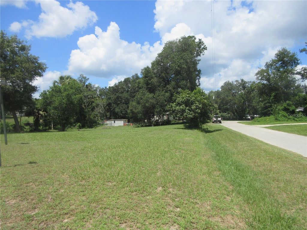 Photo of SE 35th Ln, Ocklawaha, FL 32179 (MLS # OM707153)