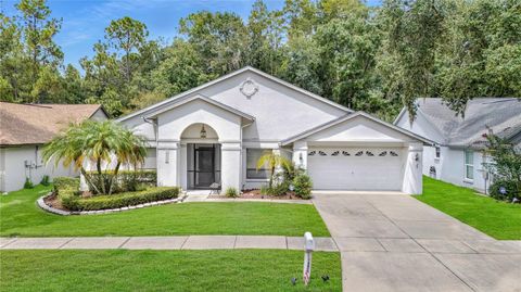 Photo of 18315 Cypress Stand Circle, Tampa, FL 33647 (MLS # TB8422254) Photo of 18315 Cypress Stand Circle, Tampa, FL 33647 (MLS # TB8422254)