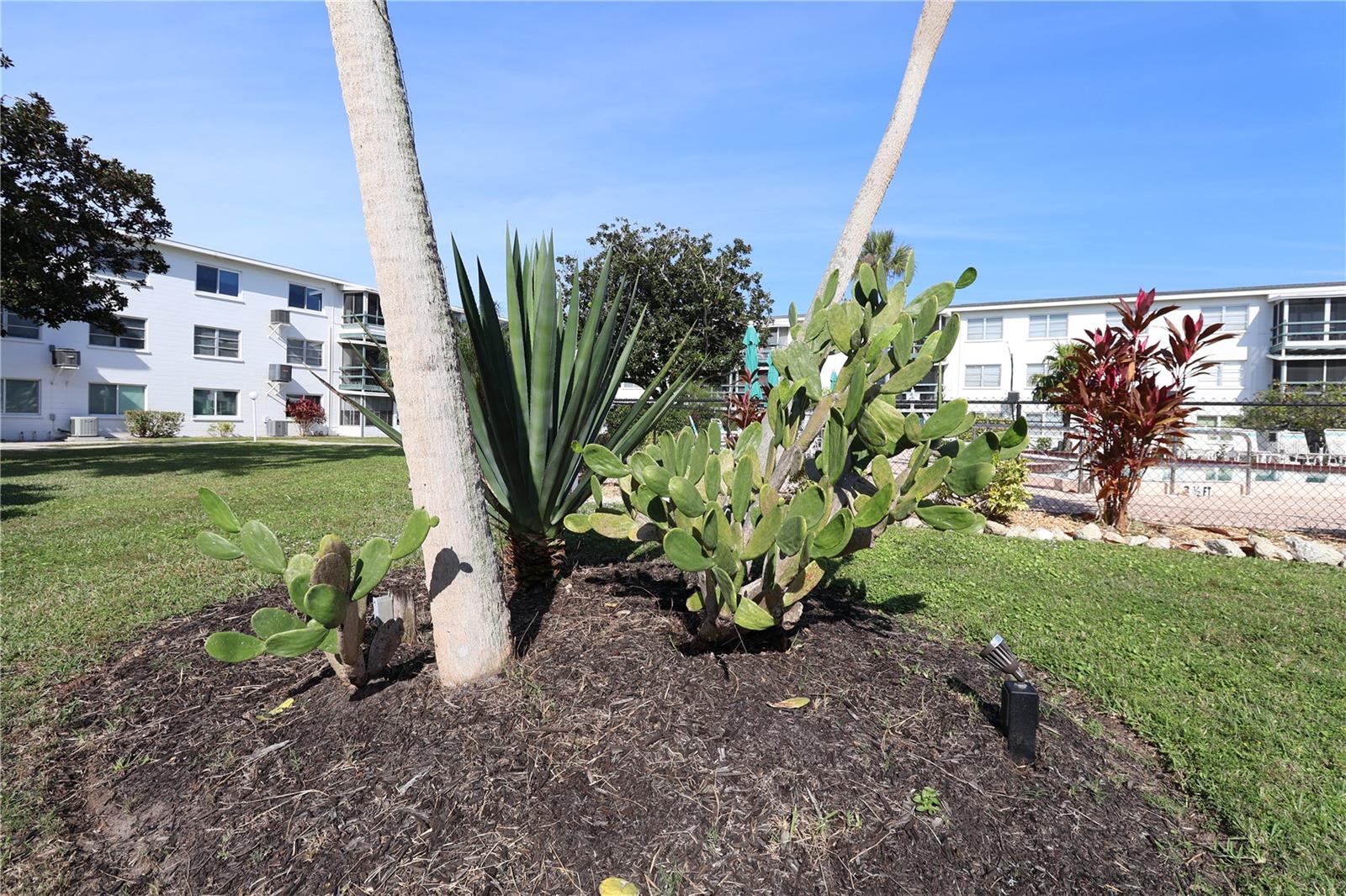 BAYSHORE II SEC 16 - Residential