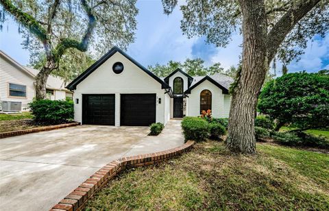 331 CASCADE LANE PALM HARBOR FL 34684