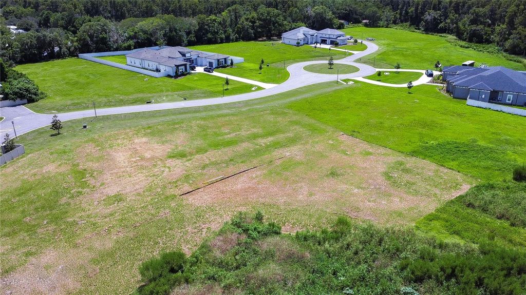 Photo of 223 Magnolia Acres Court, Lutz, FL 33548 (MLS # T3552815)