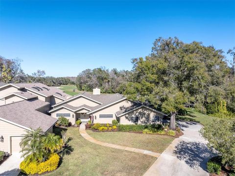 Photo of 1051 Royal Troon Court, Tarpon Springs, FL 34688 (MLS # W7882177)