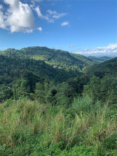 907 CARRETERA KM 2.2 CANOVANAS 00729