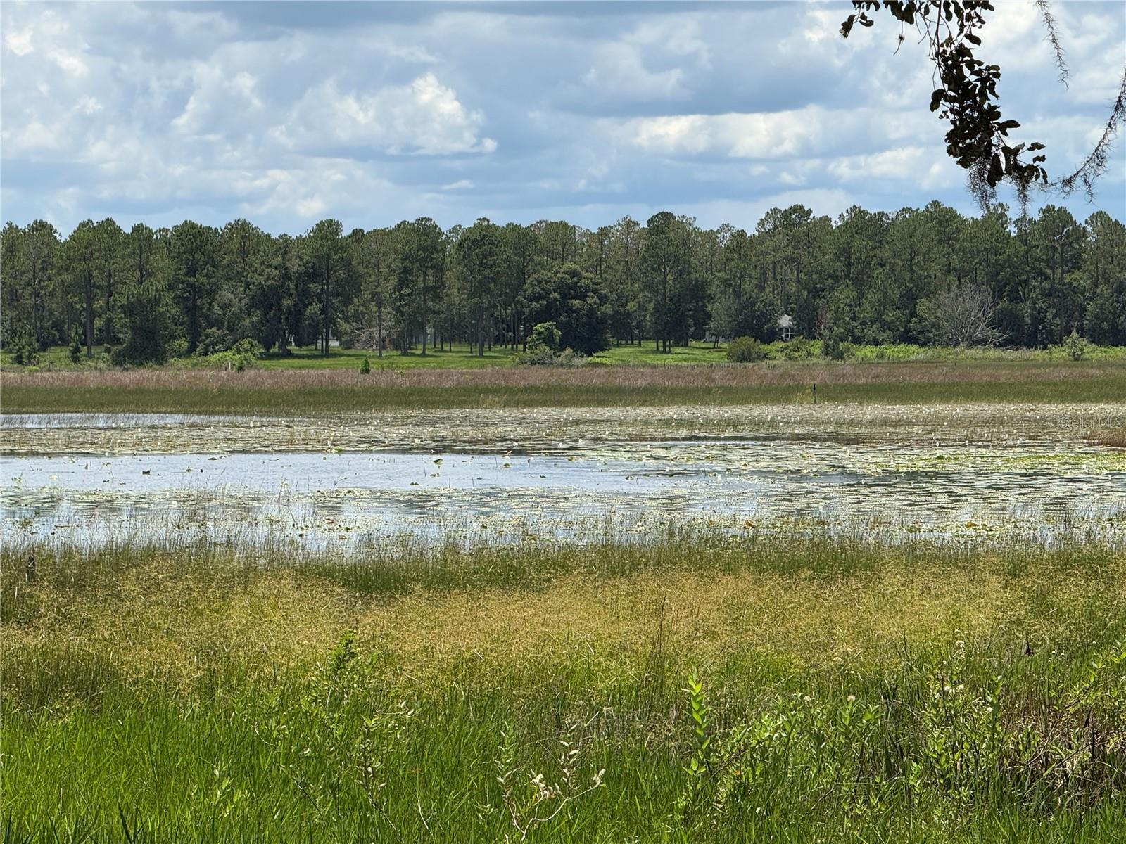 CLEARWATER RESERVE PH 2 - Land