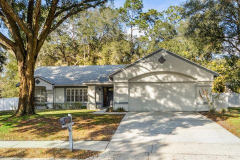 1561 ROCKWELL HEIGHTS DRIVE DELAND FL 32724