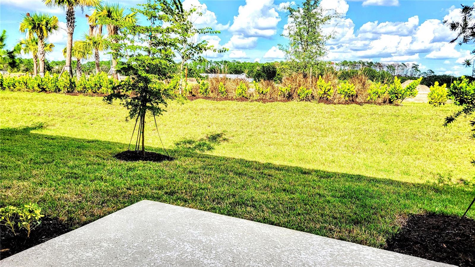 SKYE RANCH NBRHD TWO TWNHMS - Residential Lease