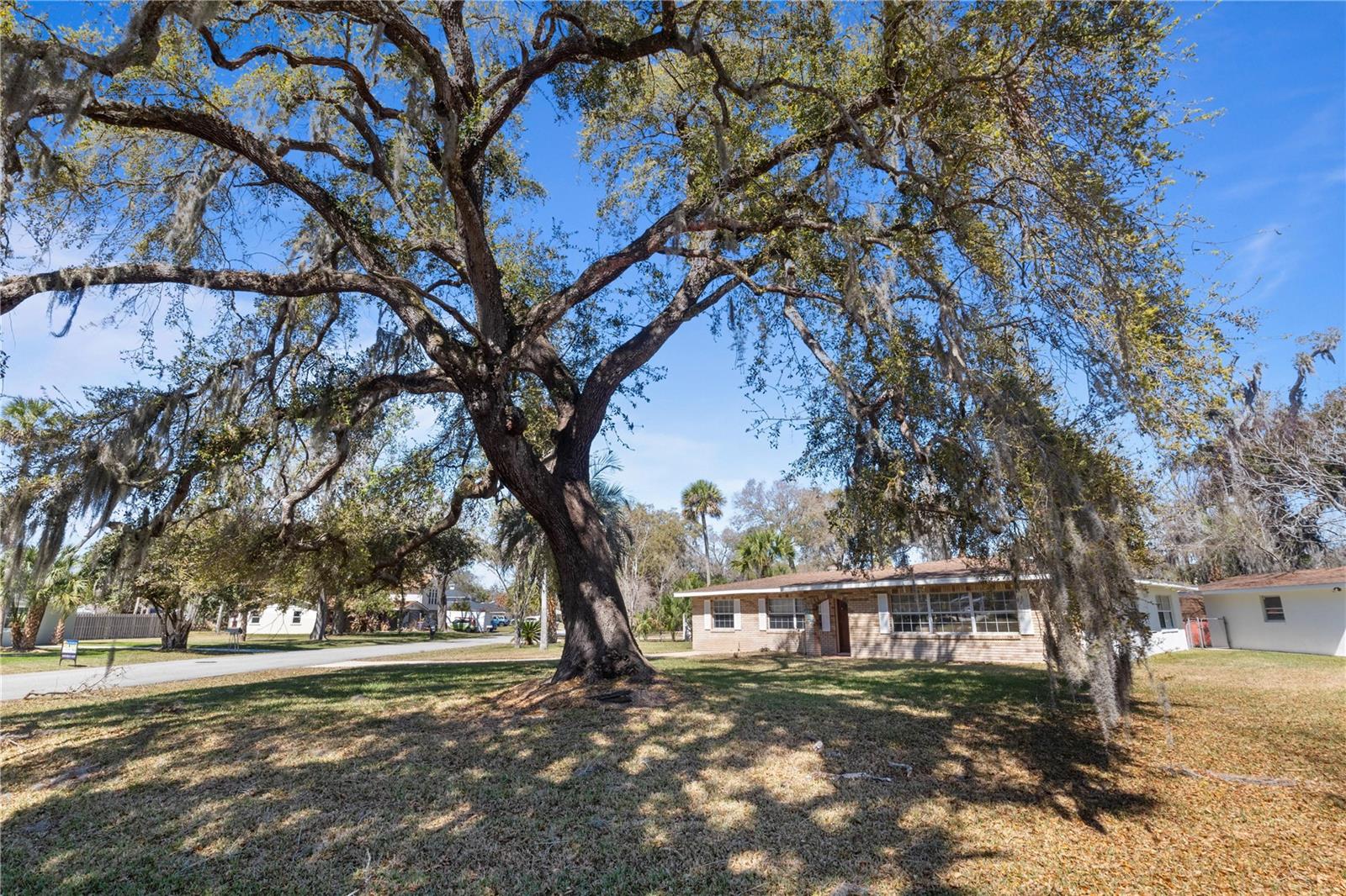 FLORIDA SHORES 01 - Residential