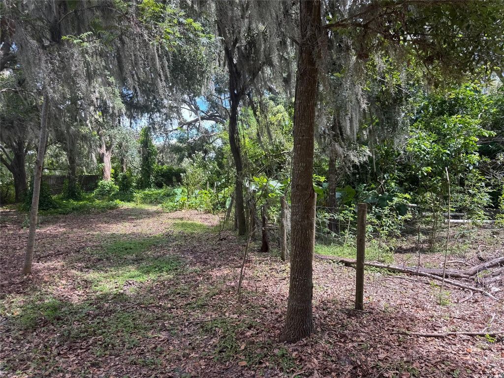 Photo of 15628 Carlton Lake Road, Wimauma, FL 33598 (MLS # TB8429822)