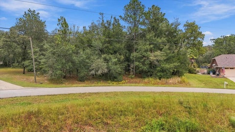 Tiny photo for 2809 W Aleuts Drive, Beverly Hills, FL 34465 (MLS # TB8562210)