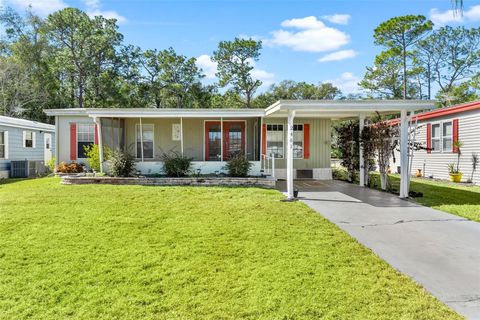 2461 KAREN DRIVE MOUNT DORA FL 32757