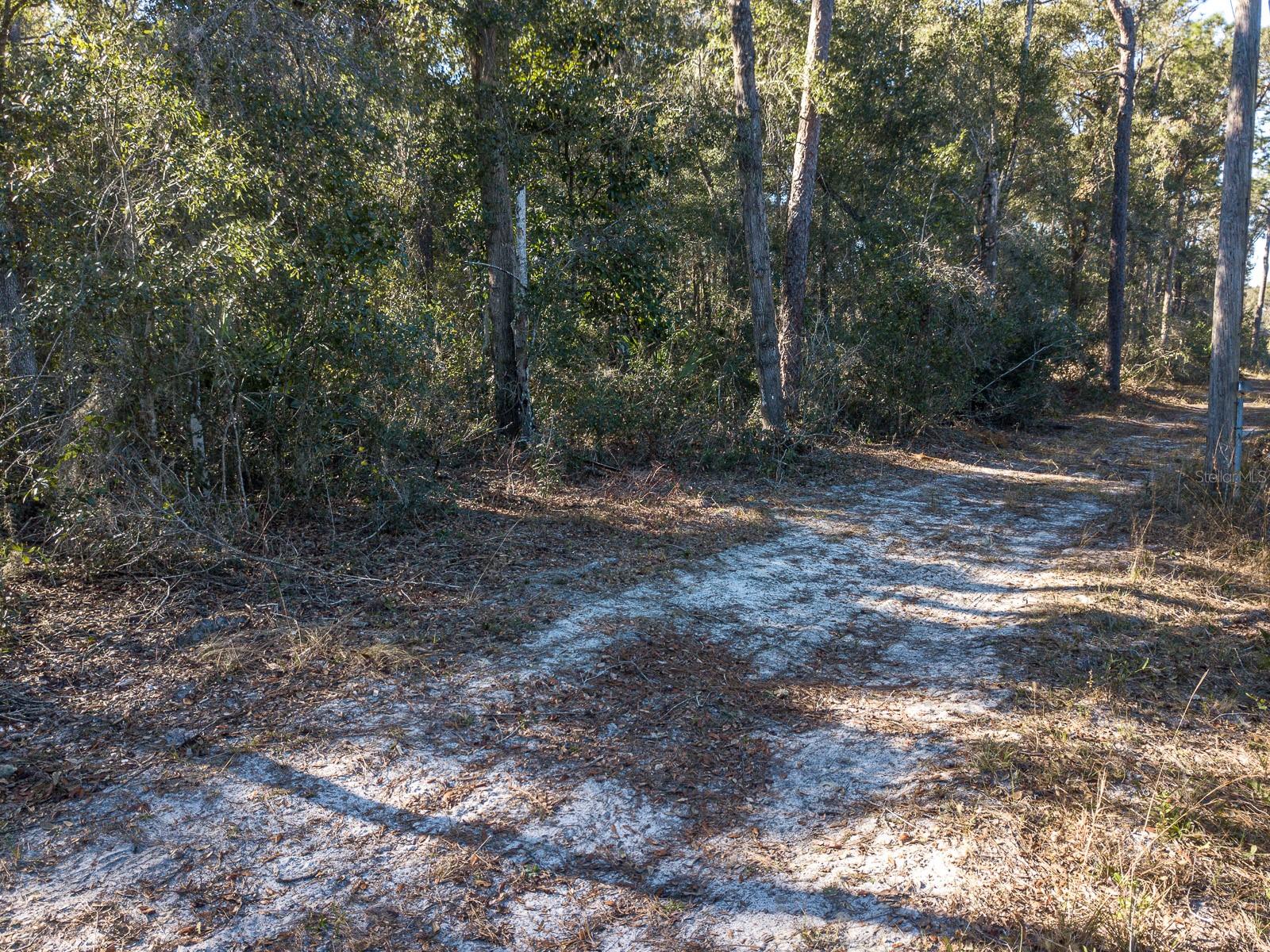 GOLDEN HILLS DELAND UNREC 137 - Land