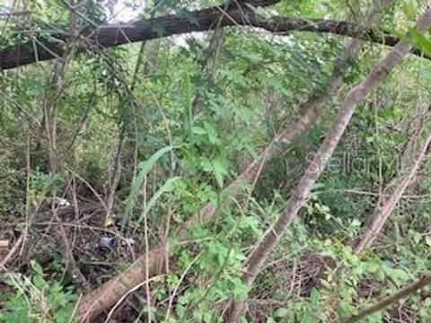 HOLOPAW GROVES ROAD SAINT CLOUD FL 34773