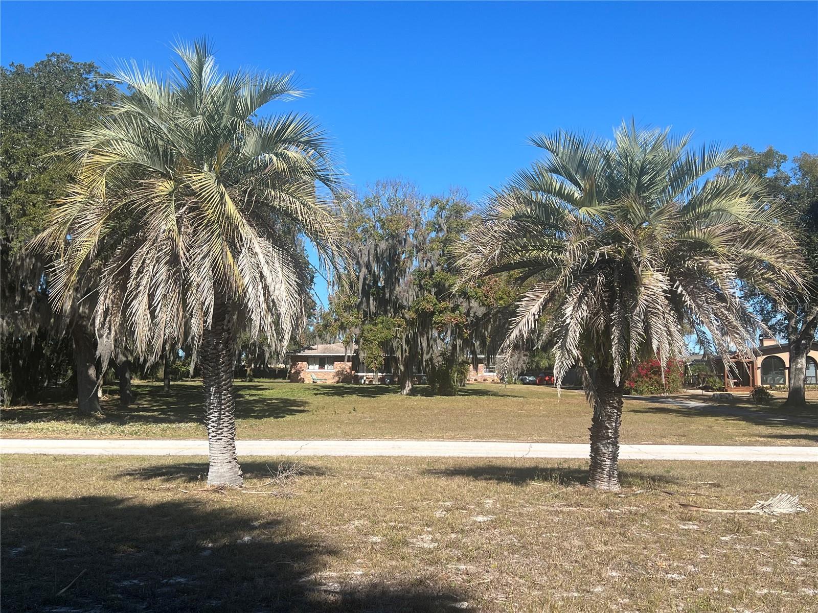 SILVER LAKE ESTATES - Residential