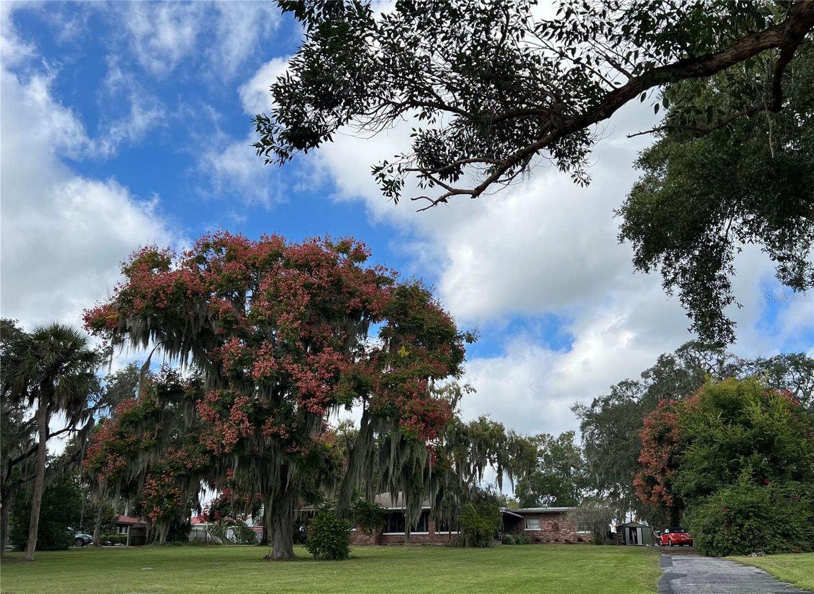 SILVER LAKE ESTATES - Residential