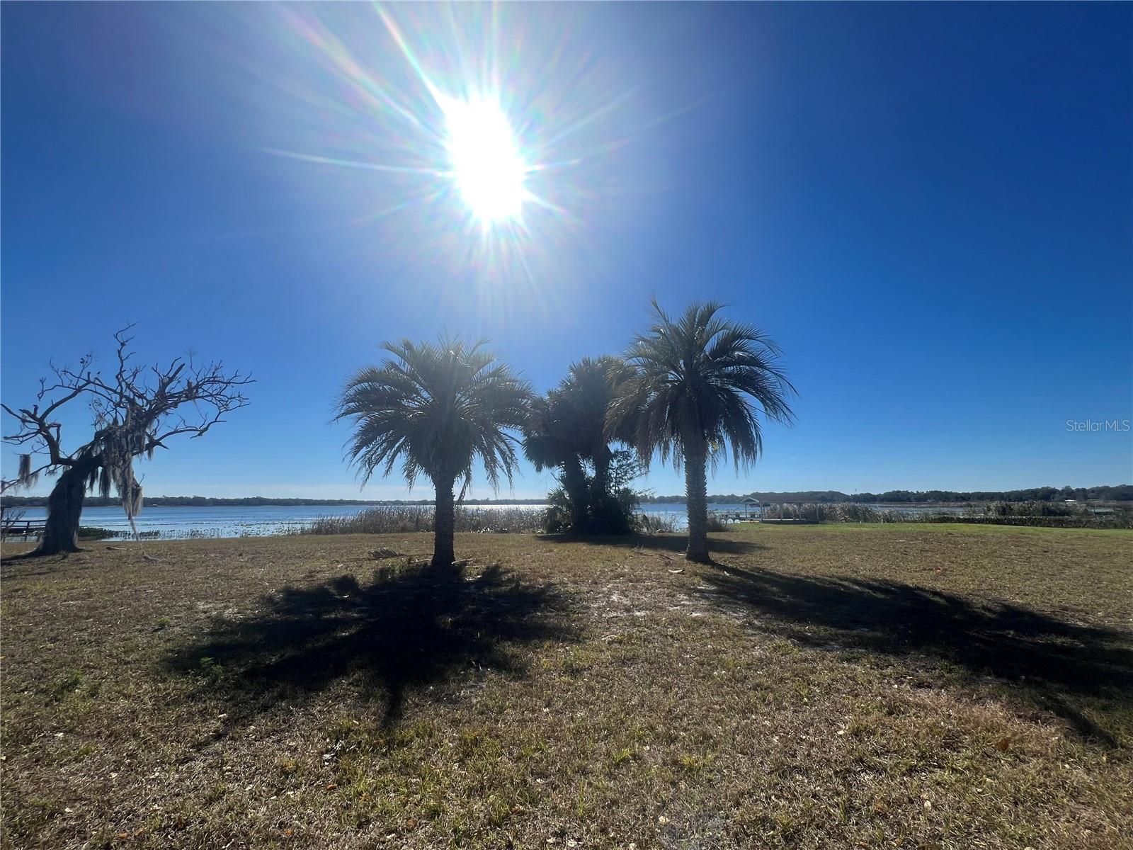 SILVER LAKE ESTATES - Residential