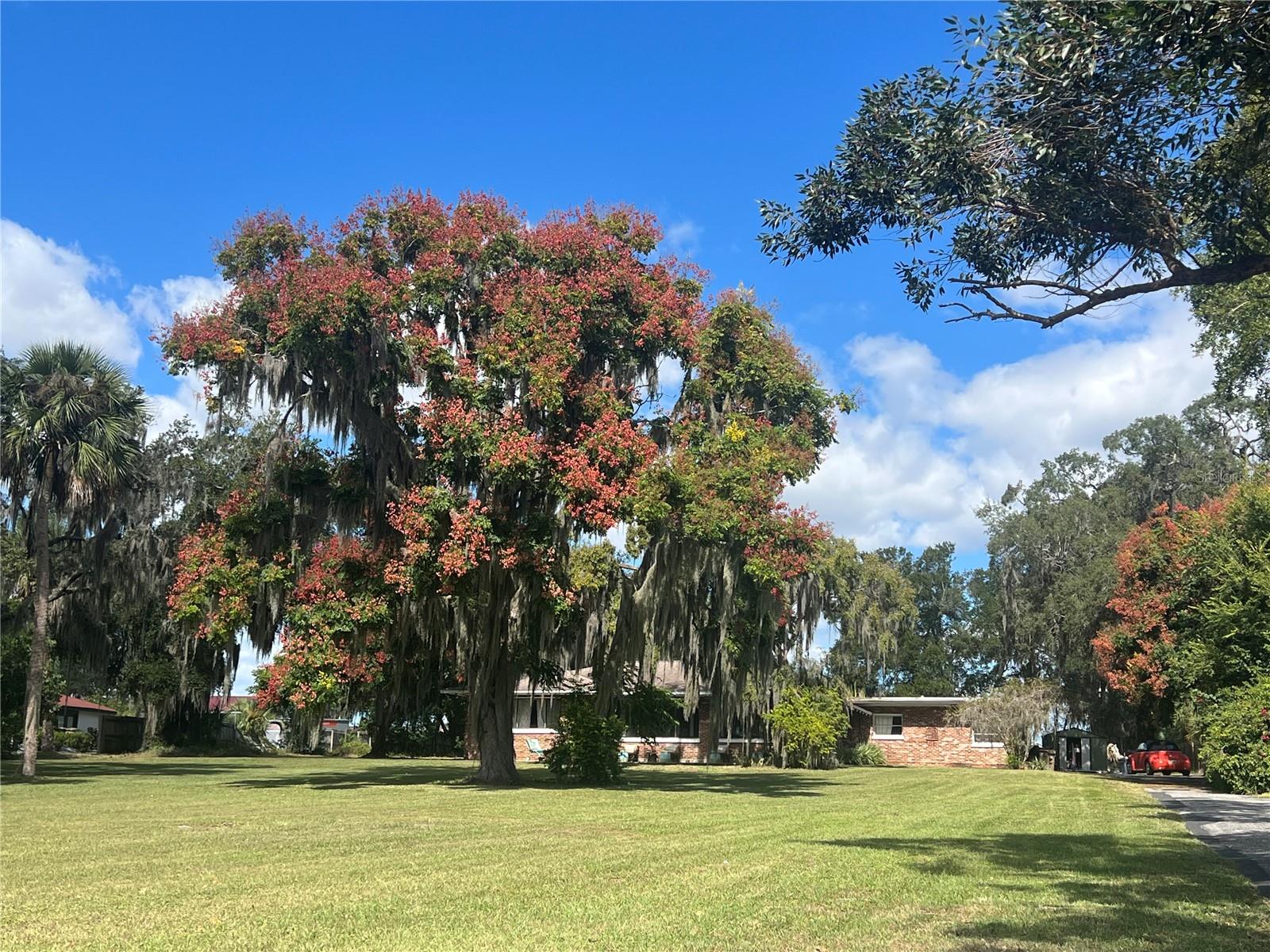 SILVER LAKE ESTATES - Residential