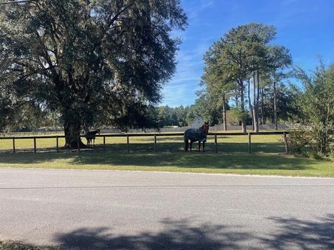 Tiny photo for 22 Wintergreen Way, Ocala, FL 34482 (MLS # OM732644)