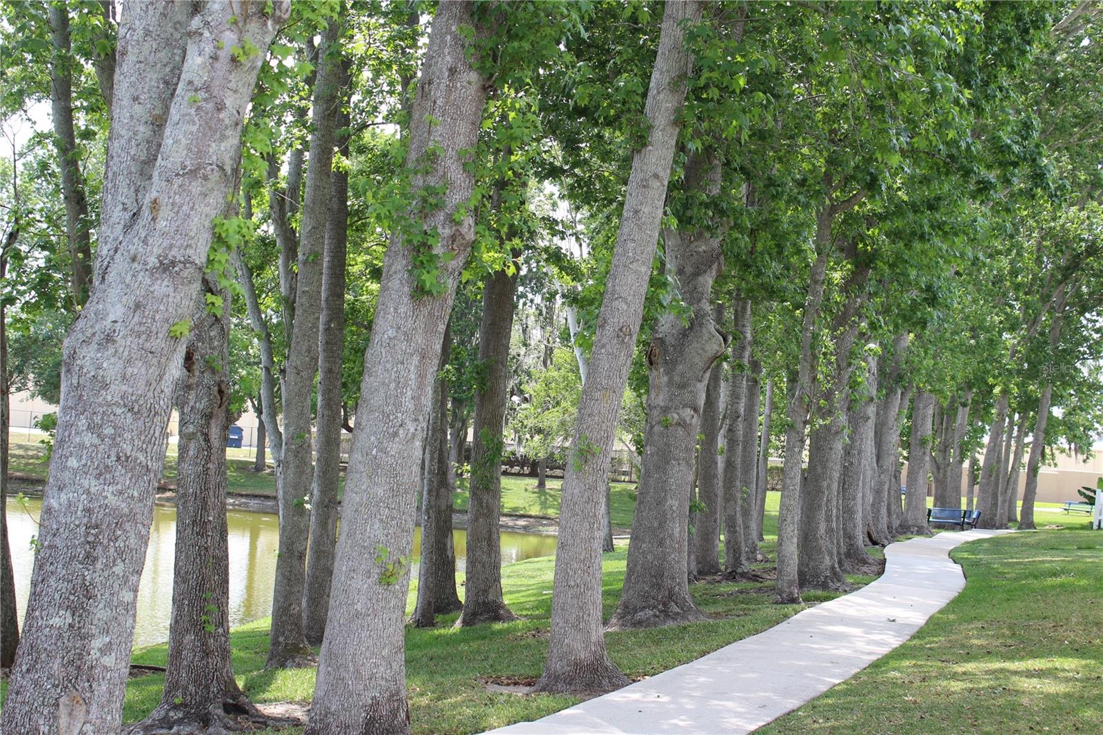 VILLAS OF CASSELBERRY PH 4 - Residential