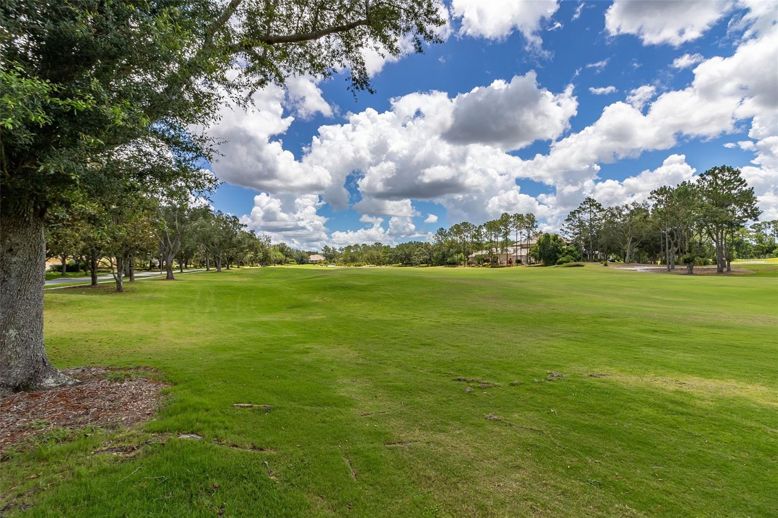 KEENES POINTE - Residential