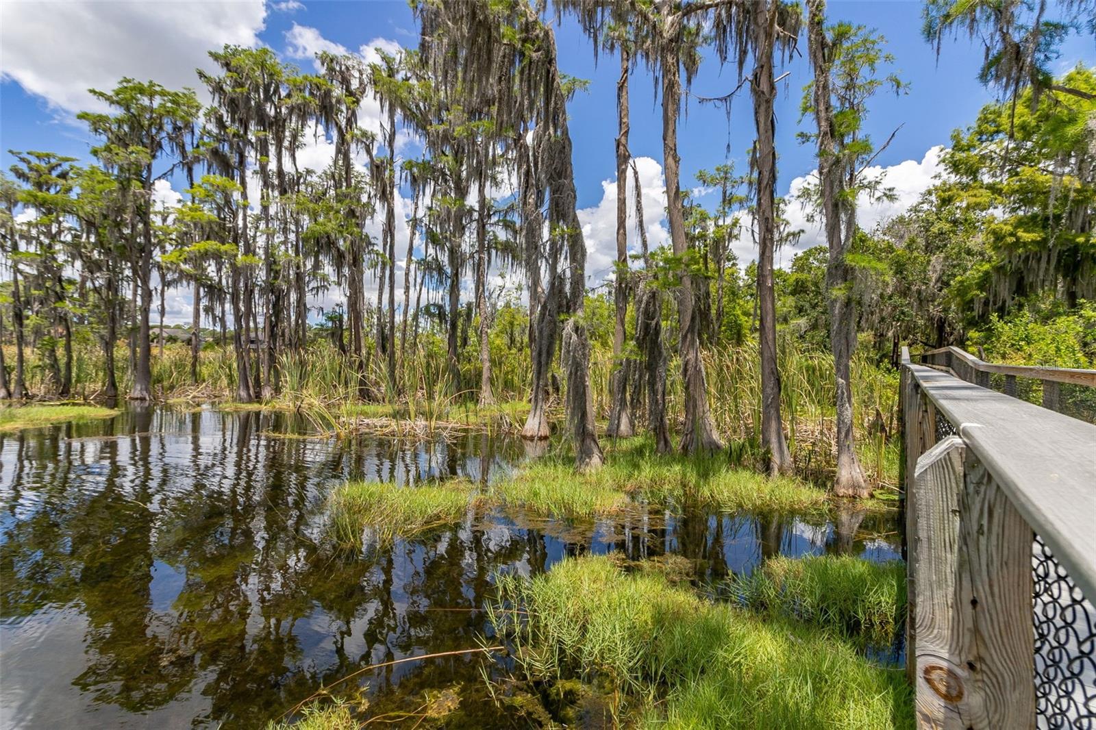 KEENES POINTE - Residential