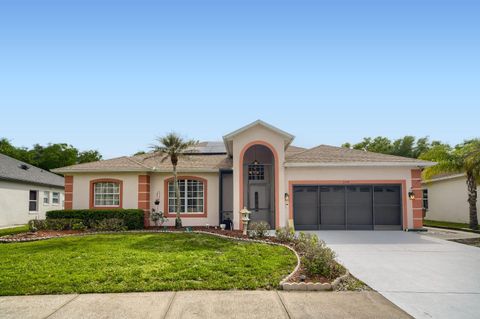 Photo of 5318 Coral Vine Ln, Kissimmee, FL 34758 (MLS # NS1087980)