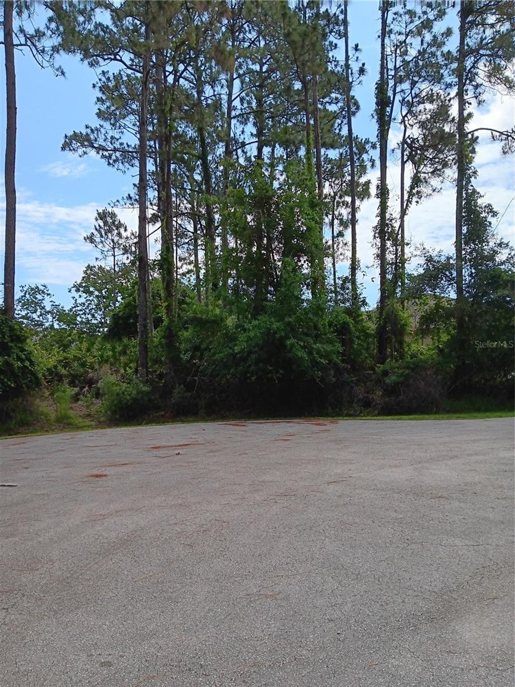 Photo of 6 Lark Place, Palm Coast, FL 32137 (MLS # FC319586)