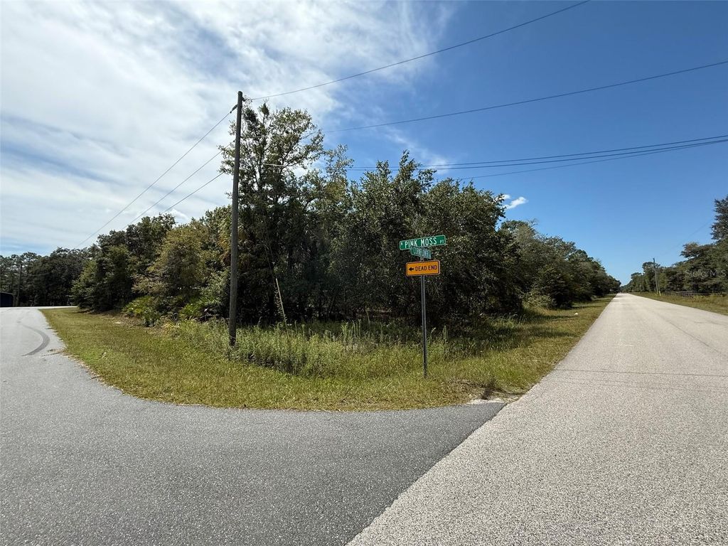 Photo of 9920 N Pink Moss Point, Crystal River, FL 34428 (MLS # OK225591)