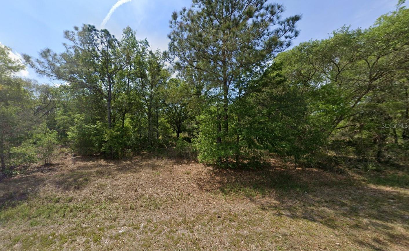 Spacious 1.25-acre corner lot in Crystal River! Located on a paved road with cul-de-sac, this property offers both privacy and accessibility. Zoned CLR (Coastal/Lakes Residential), the lot allows for single-family homes and provides flexibility for your future plans. A well and septic system will be required, giving you full control over your home’s utilities. With plenty of room for a custom build, garage, or pool, this lot is perfect for creating your dream property. No HOA or deed restrictions. Conveniently located near downtown Crystal River, shopping, dining, medical facilities, and the Gulf Coast’s renowned boating, fishing, and natural springs. Don’t miss this opportunity to own a beautiful piece of Florida land!