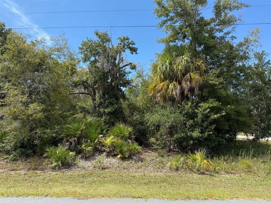 Spacious 1.25-acre corner lot in Crystal River! Located on a paved road with cul-de-sac, this property offers both privacy and accessibility. Zoned CLR (Coastal/Lakes Residential), the lot allows for single-family homes and provides flexibility for your future plans. A well and septic system will be required, giving you full control over your home’s utilities. With plenty of room for a custom build, garage, or pool, this lot is perfect for creating your dream property. No HOA or deed restrictions. Conveniently located near downtown Crystal River, shopping, dining, medical facilities, and the Gulf Coast’s renowned boating, fishing, and natural springs. Don’t miss this opportunity to own a beautiful piece of Florida land!