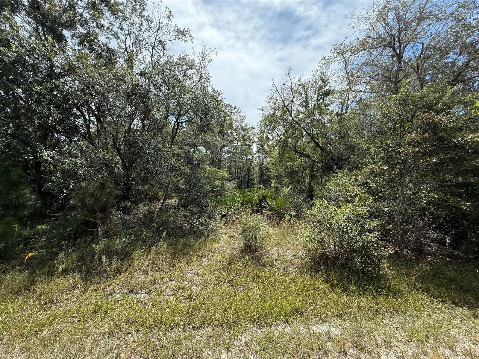 CRYSTAL MANOR UNIT 03 - Land