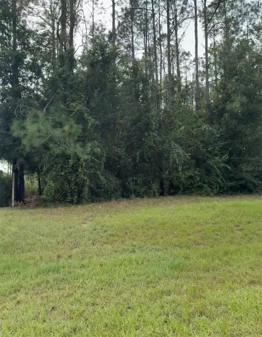 Don’t miss the opportunity to build your dream home on this beautiful 0.85-acre residential lot located on a peaceful cul-de-sac in Umatilla, Florida. This property features a backyard with direct views of Lake Smith, offering a serene and private setting surrounded by nature. With nearly an acre of land, you’ll have plenty of space to design a spacious home, garden, outdoor living area, pool, or anything you’ve imagined.