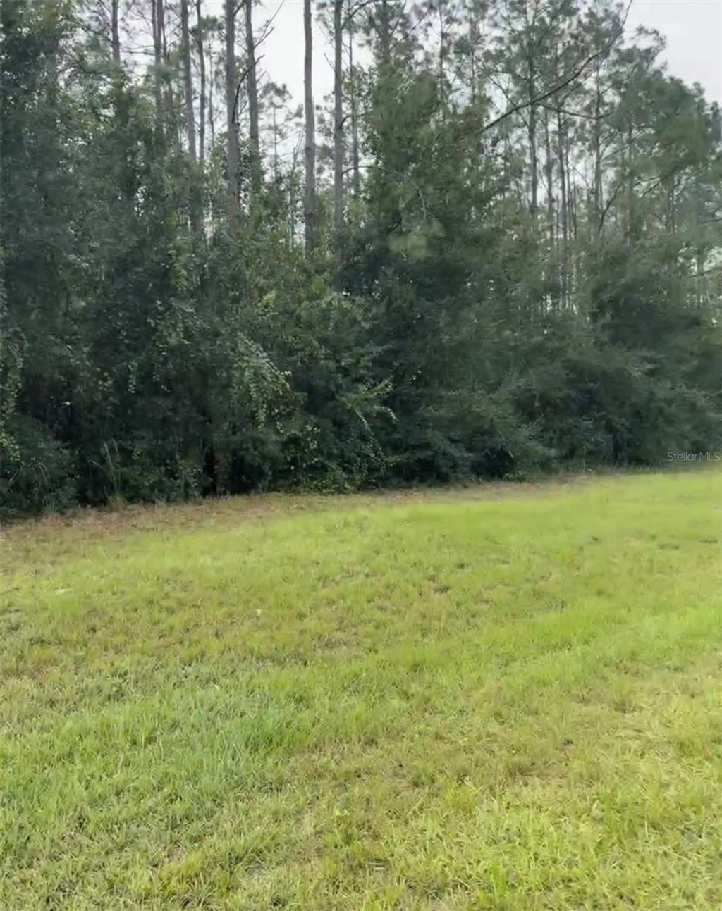 Photo of Lake Smith Road, Umatilla, FL 32784 (MLS # S5147383)