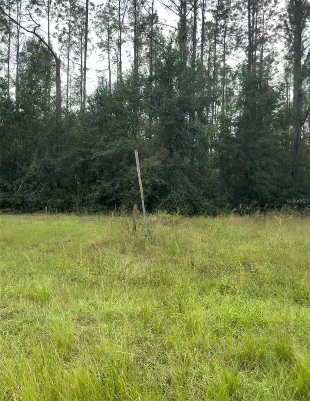 Photo of Lake Smith Road, Umatilla, FL 32784 (MLS # S5147383)